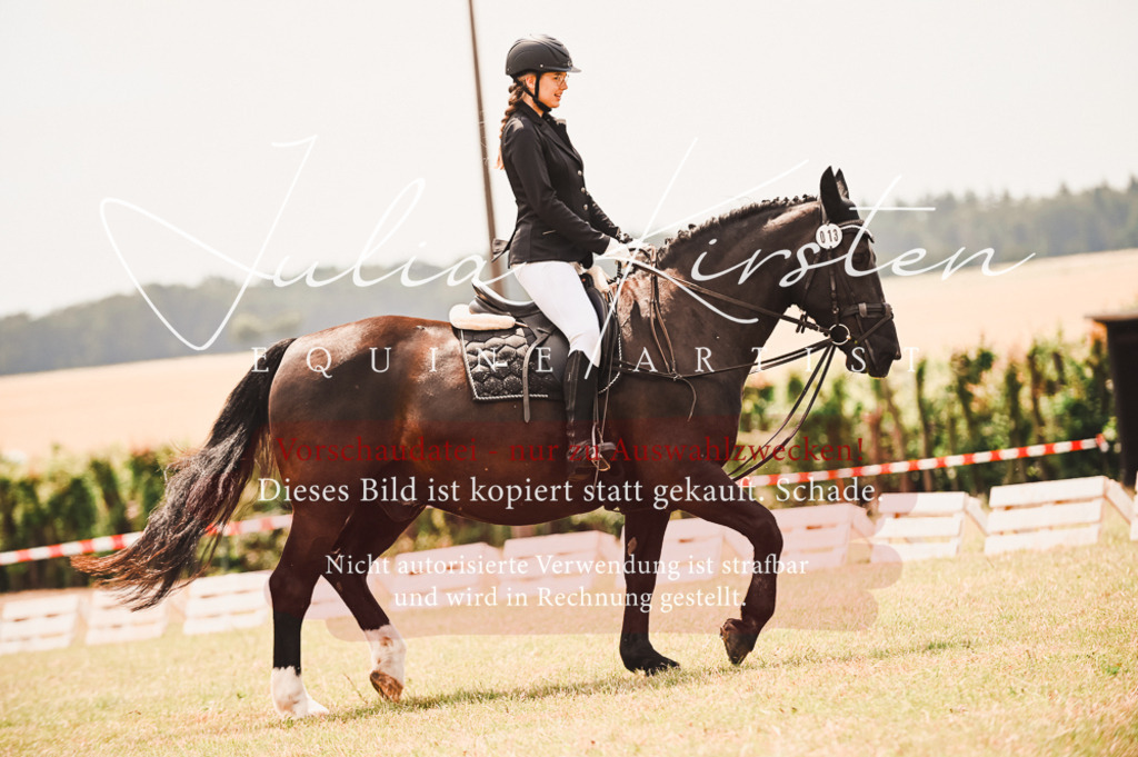 DSC_6190 | Pferde- und Turnierfotografie in Westsachsen. Pferdeportraits, Auftragszeichnungen und intuitive Kunst.