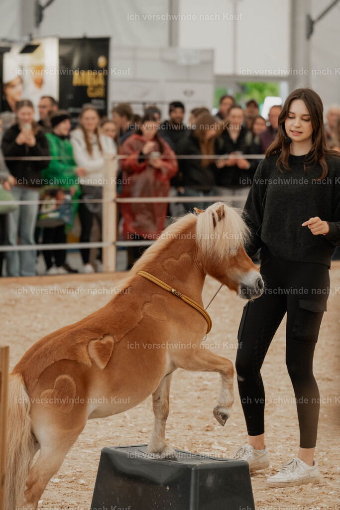 Showprogramm-69 | working equitationturnier fotograf videograf stoibphotography marixx film working equitation deutschland reitsport turnierfotografie eventfotografie equestrian events