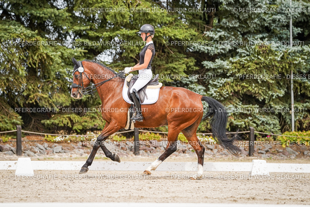 DSC05932 | Pferdegrafie