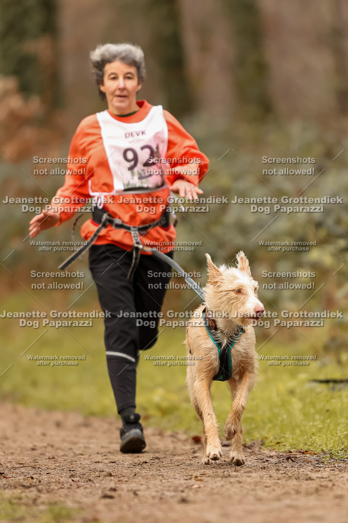 Dog Paparazzi - Speedhunter Mannheim  2025-254 | Dog Paparazzi Jeanette Grottendiek Fotografie & Videografie