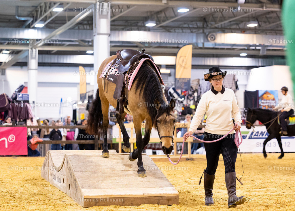 TH_Mountain Trailer_27356 | EQUITANA 2025 am 11.03.25 in Essen