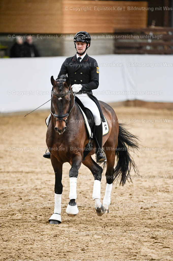 20260307_Hengstvorstellung-Marbach_0345 | equistock