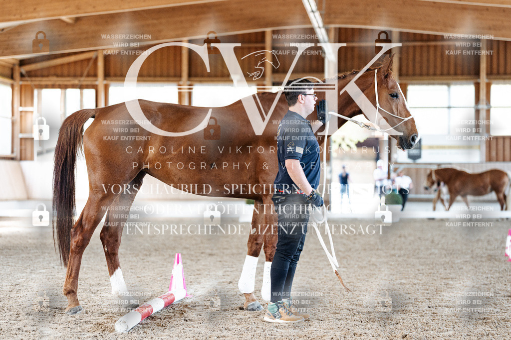 CK905857 | Turnierfotografie Pferdefotografie Trier Rheinland-Pfalz Pferdesport Reitsport Tierfotografie Sportfotografie Pferdevideo Pferdevideografie Equestrianvideography equestrianphotography  - Realisiert mit Pictrs.com