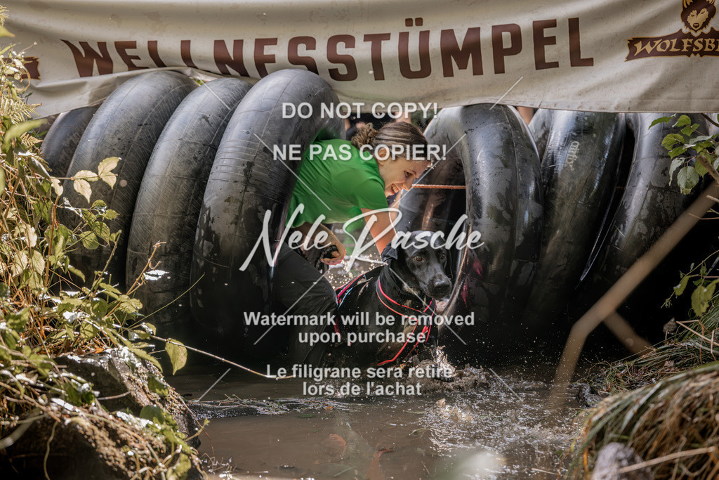 nelerasche_Hunsrück2026_Sa1400-1500_372 | nelerasche