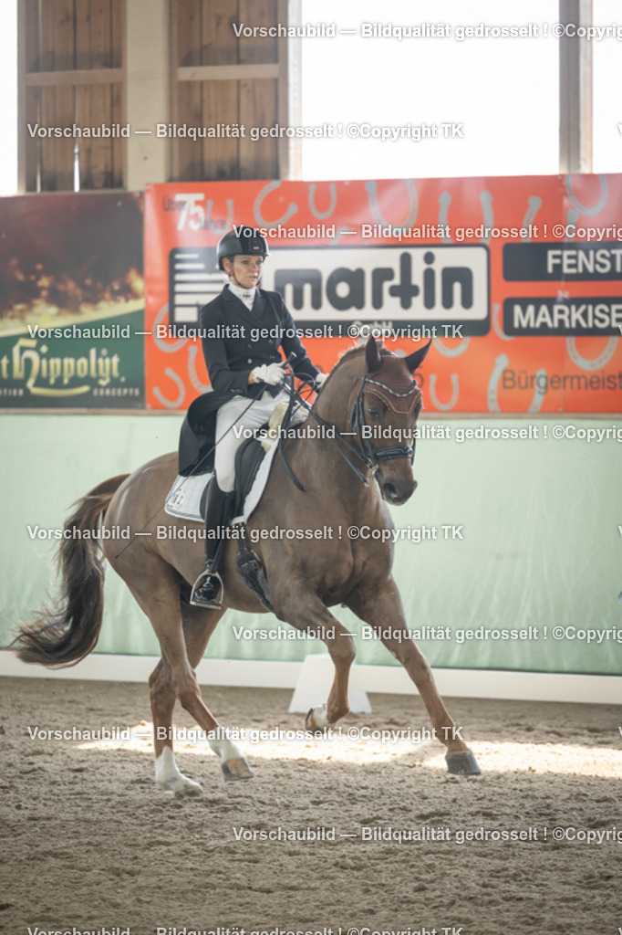 _D5A1283 | Emotionale Pferde- & People-Fotografie rund um Heidelberg, Leimen & Umgebung. Natürliche Fotos von Pferd, Mensch & Familie. Jetzt Termin sichern!