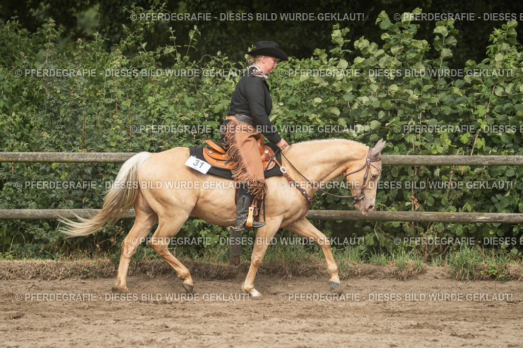 DSC03454 | Pferdegrafie