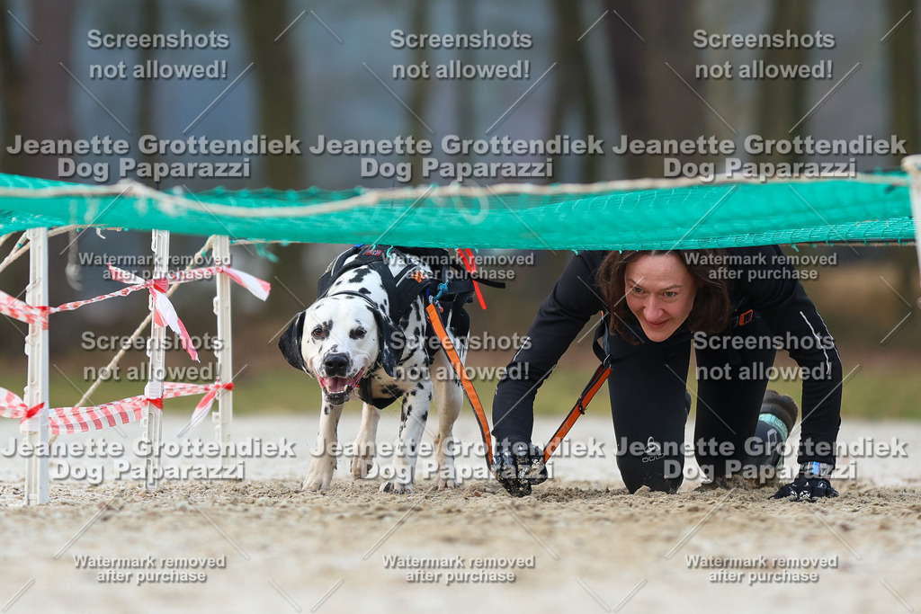 Dog Paparazzi - Strongdog North Mrz26-3656 | Dog Paparazzi Jeanette Grottendiek Fotografie & Videografie - Realisiert mit Pictrs.com