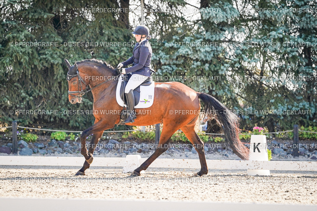 DSC09699 | Pferdegrafie