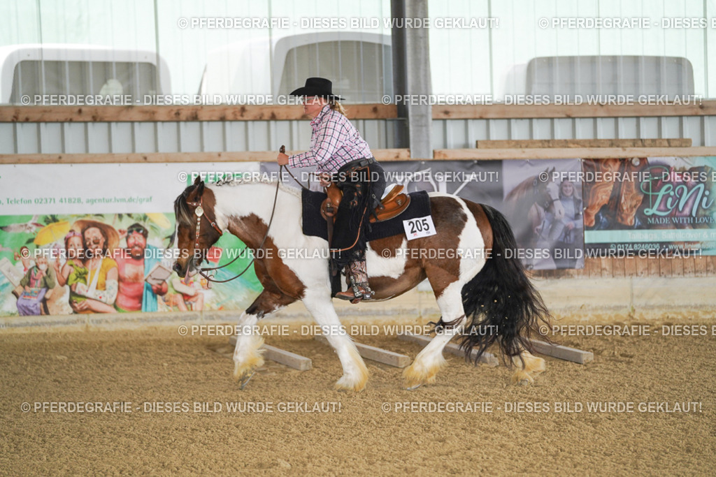 DSC02459 | Pferdegrafie