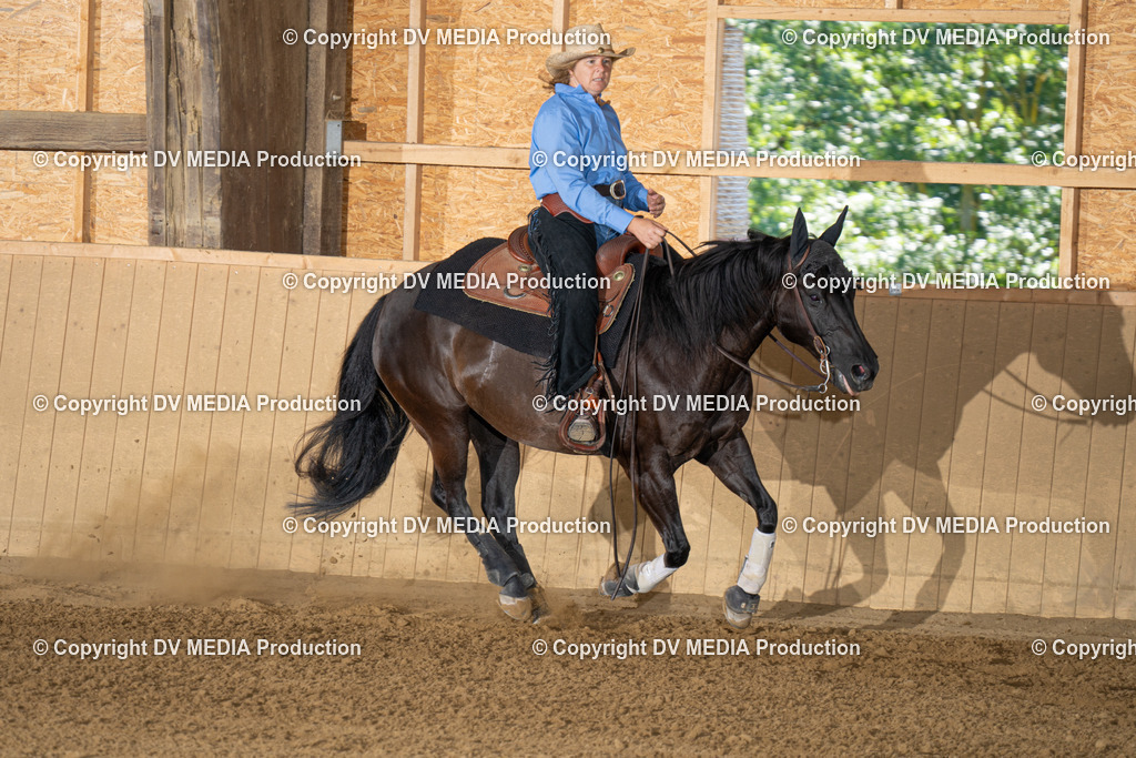 DSC00059 | dv-media-shop - Realisiert mit Pictrs.com