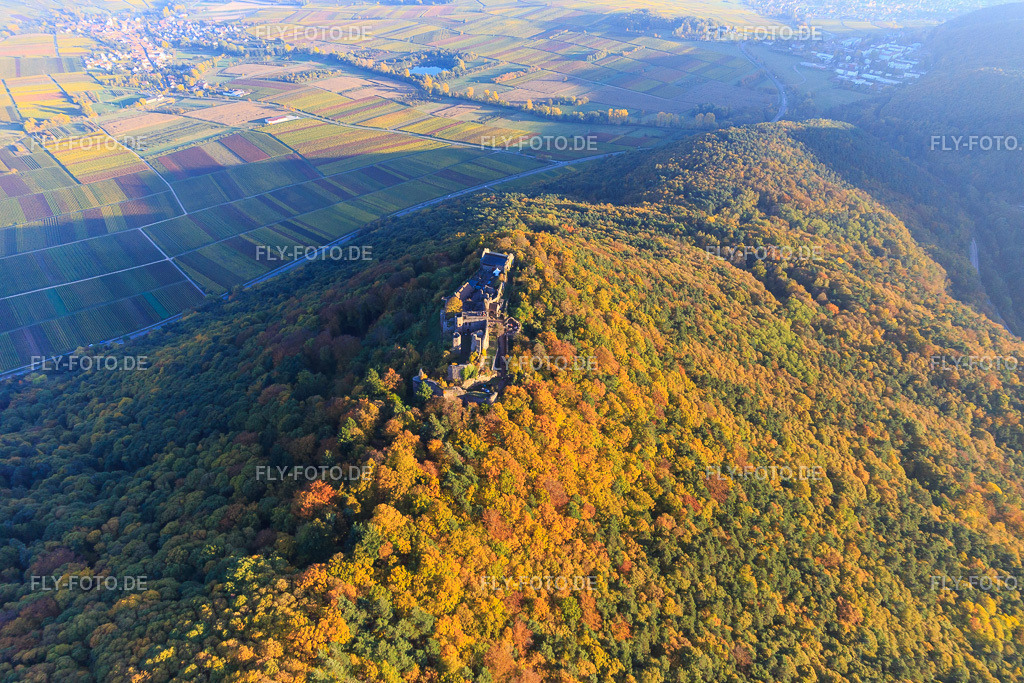 Burgruine Madenburg im herbstlichem Wald bei Abendlicht https://madenburg-pfalz.de/ | Luftbild: Burgruine Madenburg im herbstlichem Wald bei Abendlicht https://madenburg-pfalz.de/ in Eschbach im Bundesland Rheinland-Pfalz in Deutschland. Foto: IMG_095736.jpg vom 30.10.2016 durch Werner Riehm/FLY-FOTO.de - Realisiert mit Pictrs.com