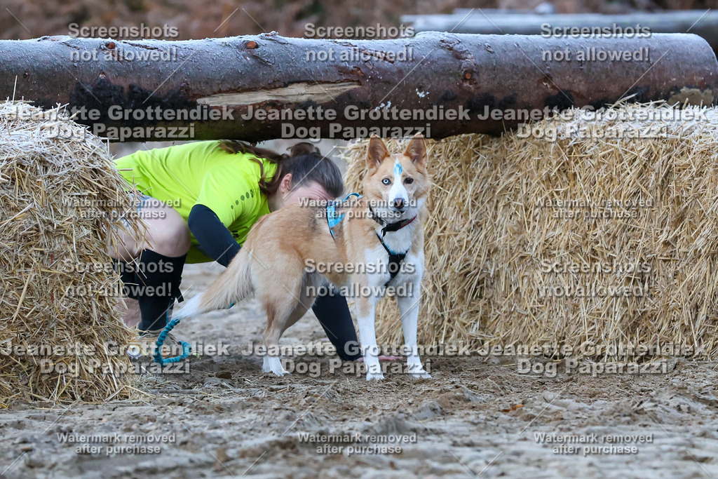 Dog Paparazzi - Strongdog 10-25-138 | Dog Paparazzi Jeanette Grottendiek Fotografie & Videografie - Realisiert mit Pictrs.com