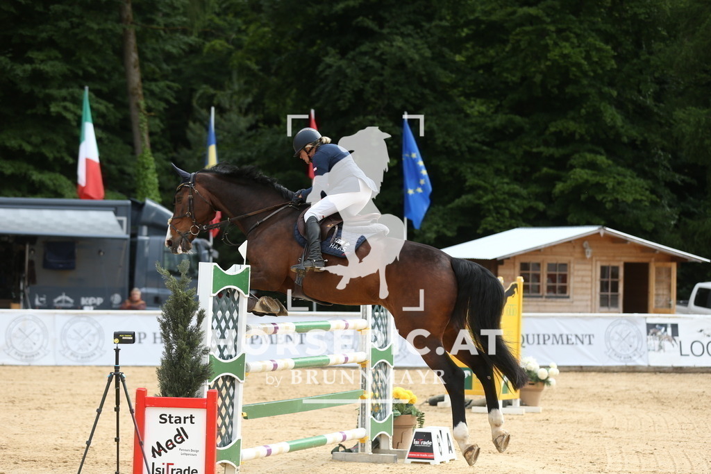 DL2Q4027 | Willkommen bei Brunnmayr - Design & Fotografie – Ihrem Spezialisten für Reitturniere und Pferdeveranstaltungen in Oberösterreich, Salzburg und Bayern! Seit über 17 Jahren sind wir leidenschaftlich dabei.