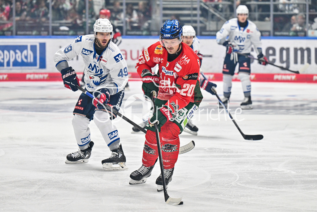 Augsburger Panther - Adler Mannheim | im Duell Lukas KÄLBLE (Adler Mannheim 49) und Cody KUNYK (Augsburger Panther #20) / Zweikampf / DEL: Augsburger Panther - Adler Mannheim; Curt Frenzel Stadion am 14.09.2025