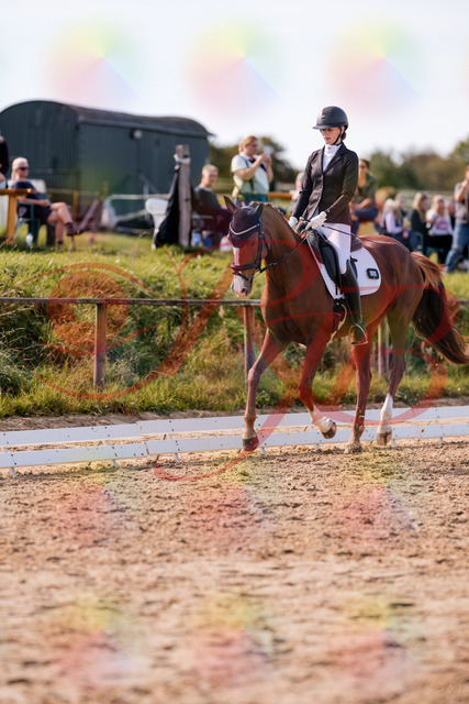 2026_10_03_Siefer-Hof_133124_Z81_85180659 | Professionelle Reitsport-, Turnier- und Eventfotografie von Robert Broda. Galerien mit ausgewählten und bearbeiteten Bildern direkt online ansehen und bestellen.
