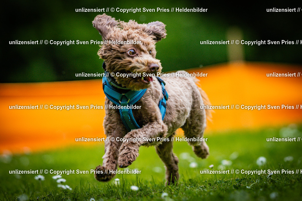 Sven Pries | 2025-05-29 - Pudelrennen KA-Durlach - Realisiert mit Pictrs.com