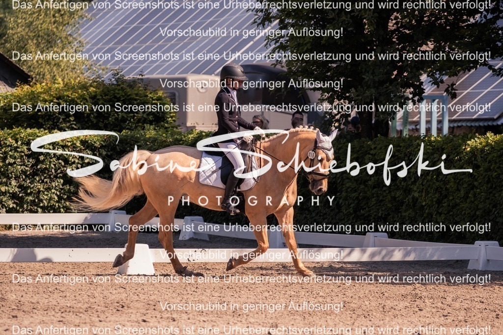 2025_05_31_DSCF3032 | People- und Tierfotografie, Imageaufnahmen, Veranstaltungsfotografie und Wandbilder aus der Natur ★ Made in Germany ✔️ Druck + Downloads ✔️ Naturfotografie in Top Qualität ★ schneller Versand, weltweite Lieferung! - Realisiert mit Pictrs.com