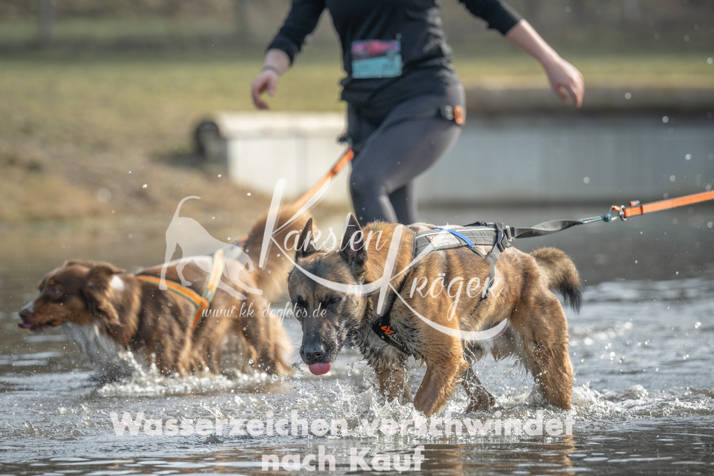 1051_ZZ90242 | kk-dogfotos