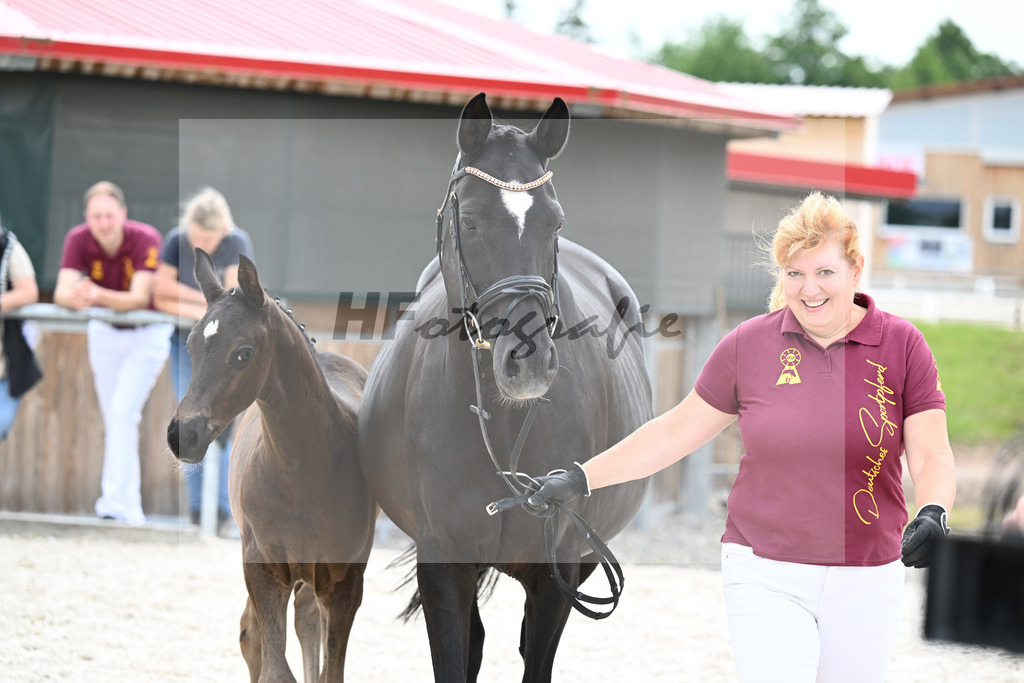 Segantini x Desperados_HF_Kloessinger_20240923 | hf-fotografie - Realisiert mit Pictrs.com