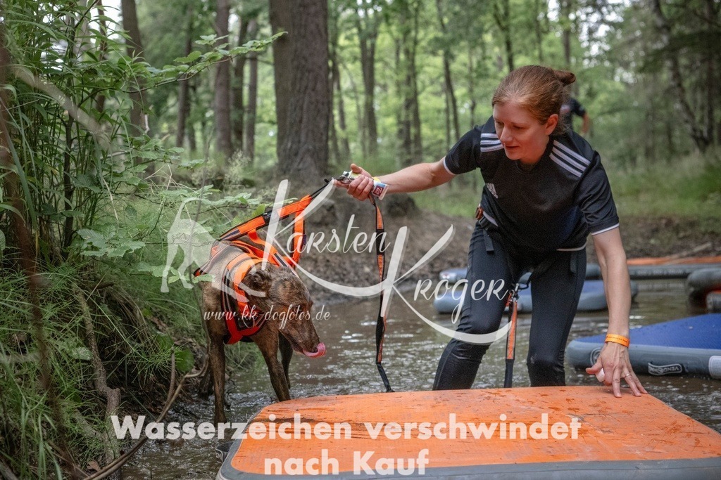 0853_ZZ99772T | kk-dogfotos