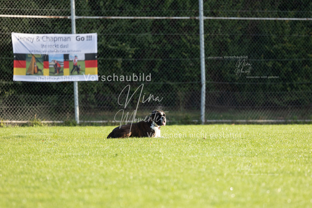 _16A6156 | Einzigartige Fotos von Hunden & Menschen –Actionfotos, Portraits, Vereinsaufnahmen & Paarshootings – authentisch, lebendig & mit Herz.