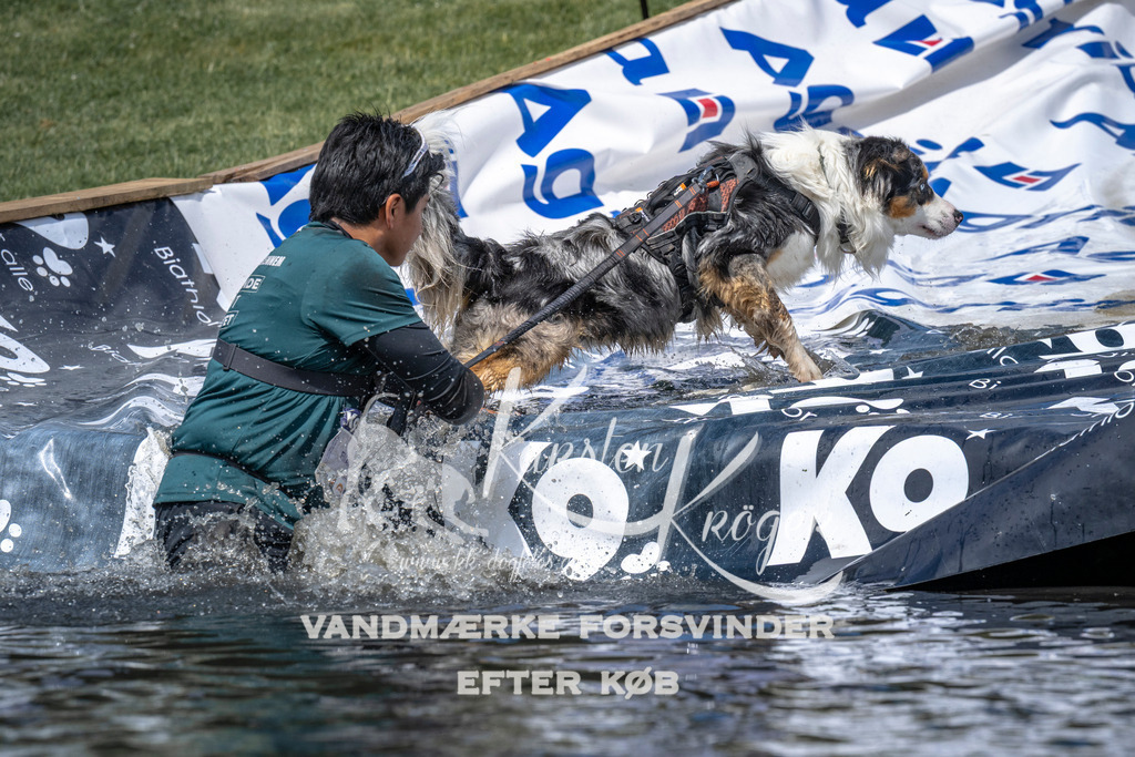 1106_ZZ90883 | kk-dogfotos