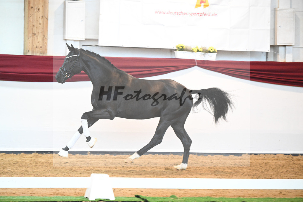 Kat-Nr. 51 v. Toto jr._Winklmaier_66220921 | hf-fotografie - Realisiert mit Pictrs.com