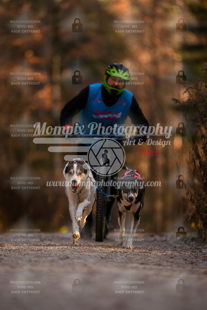 MompixPhotography_DM_AKDM_SO_2025_Scooter-43 | PayLife