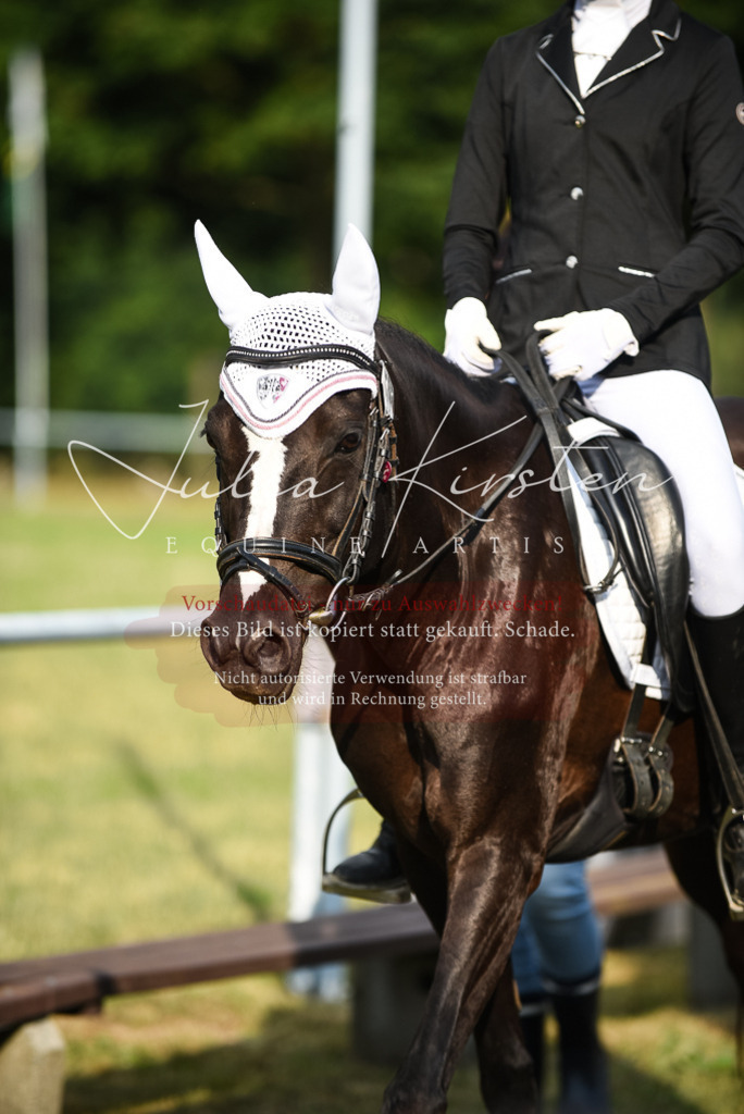 DSC_3429 | Pferde- und Turnierfotografie in Westsachsen. Pferdeportraits, Auftragszeichnungen und intuitive Kunst.