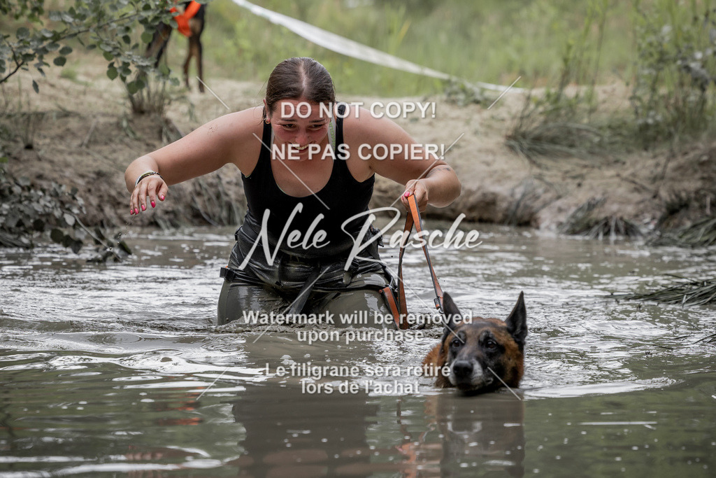 nelerasche_1400-1445_276 | nelerasche