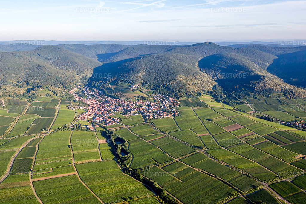 Luftbild: Dorf - Ansicht am Rande der Haardt des Pfälzerwalds zwischen Weinbergen im Ortsteil SaintMartin in Sankt Martin im Bundesland Rheinland-Pfalz in Deutschland. Foto: IMG_091631.jpg vom 10.07.2016 durch Werner Riehm/FLY-FOTO.de
