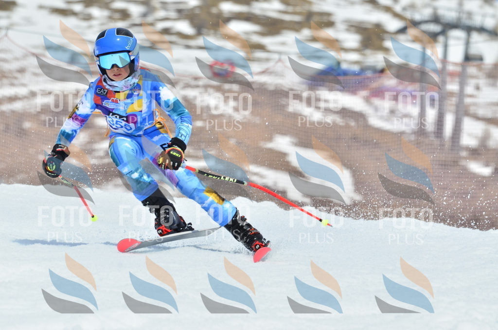 _ELE2741 | holidayphoto