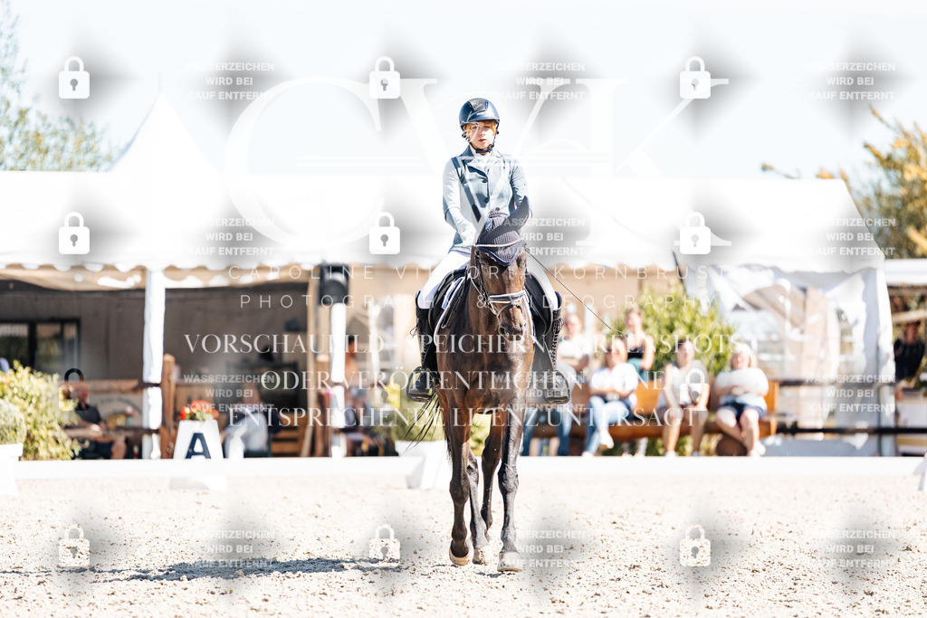 CK909781 | Turnierfotografie Pferdefotografie Trier Rheinland-Pfalz Pferdesport Reitsport Tierfotografie Sportfotografie Pferdevideo Pferdevideografie Equestrianvideography equestrianphotography  - Realisiert mit Pictrs.com
