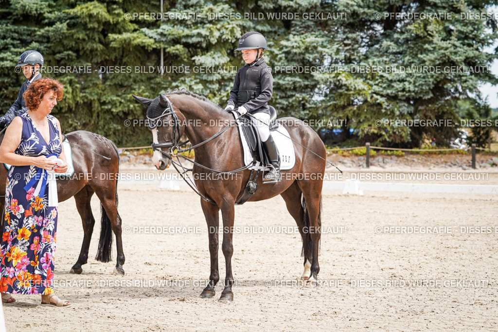 DSC02871 | Pferdegrafie