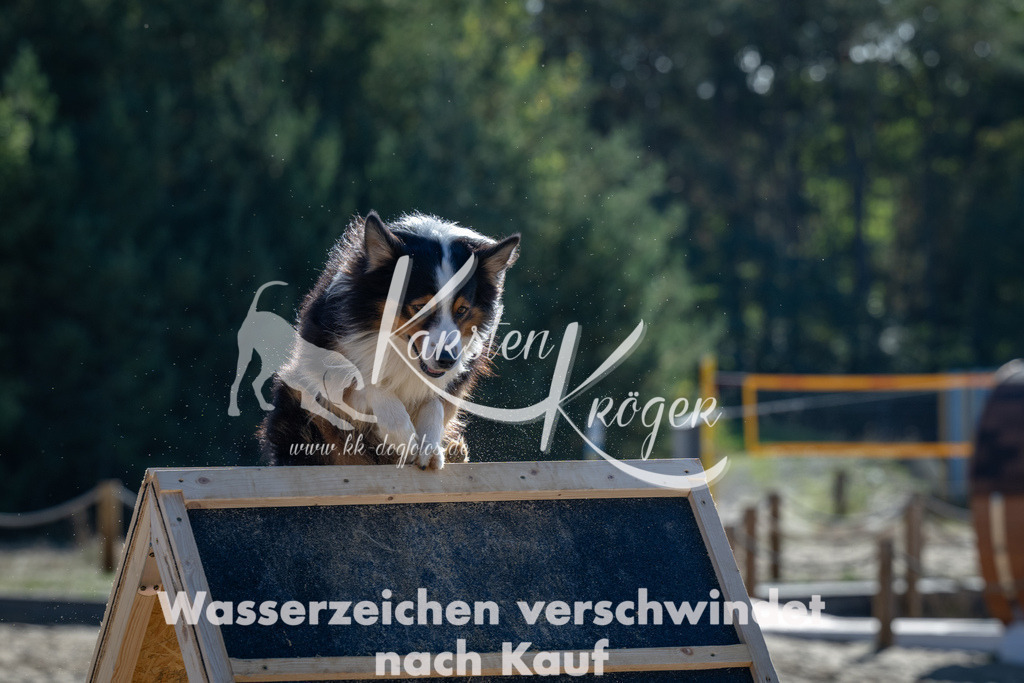 1128_ZZ91221 | kk-dogfotos