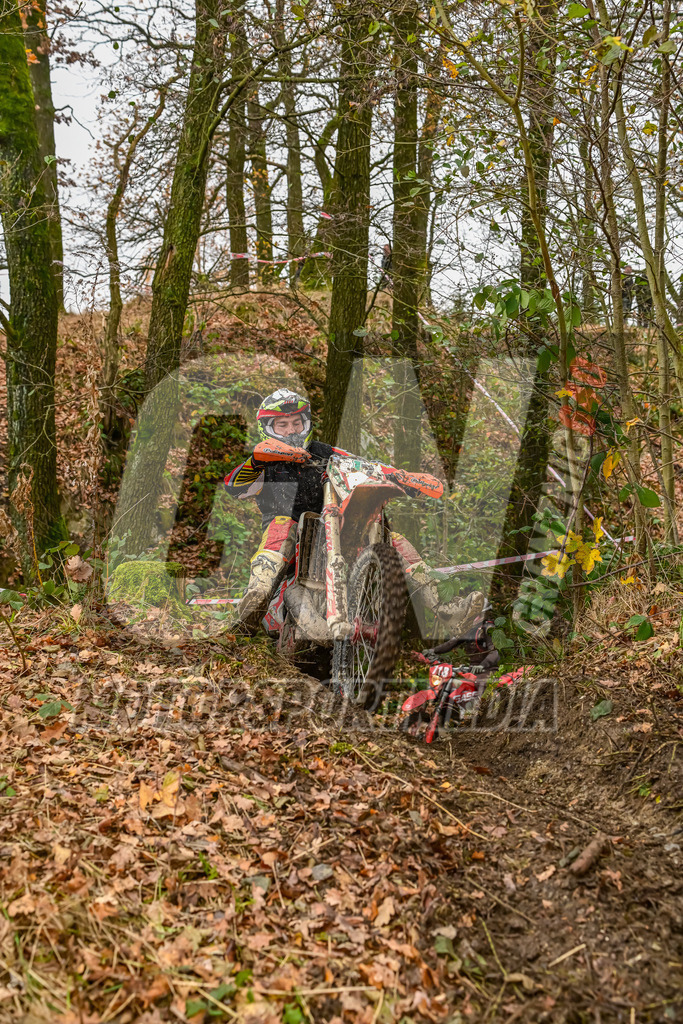 NZ8_4917 | grenznic640