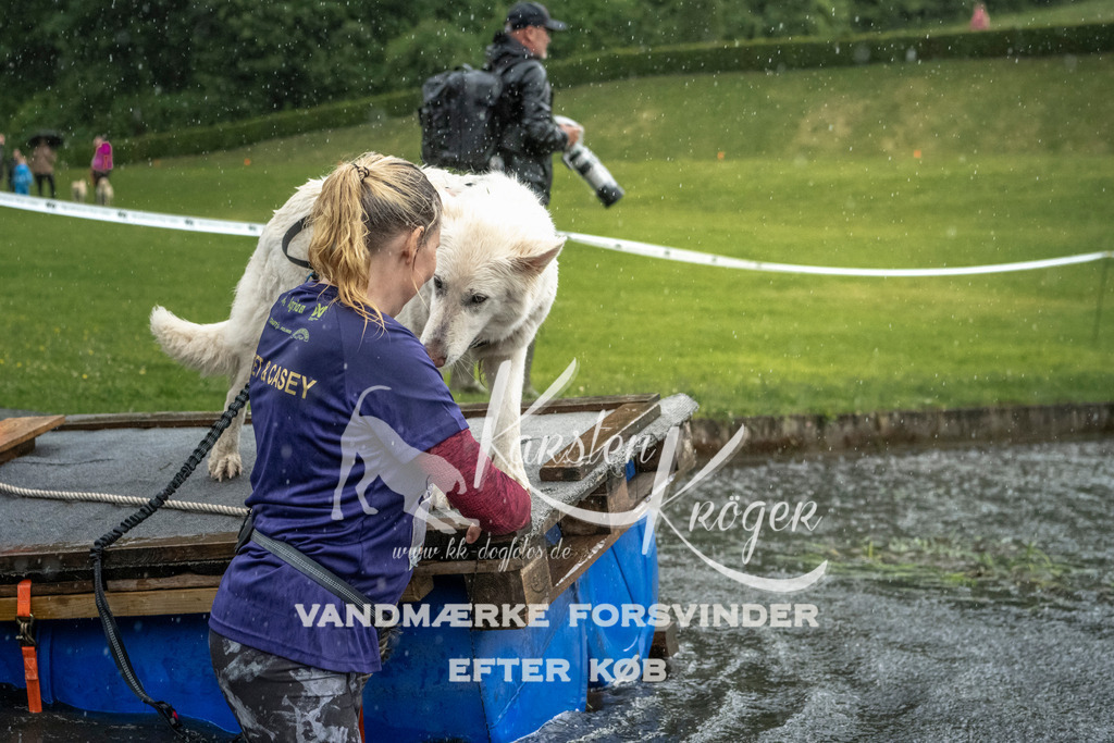 1322_ZZ97891 | kk-dogfotos