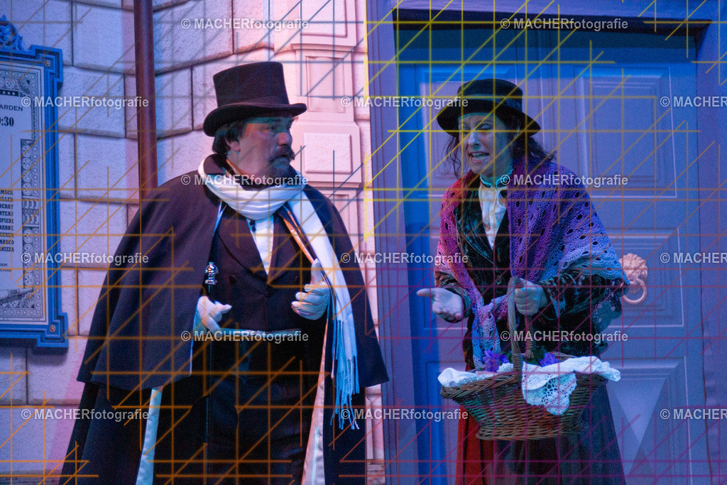 012_MFL-2025 | Portraitbilder von Regisseur; Darsteller; Techniker; Maske; Kostüme; Chor; Musiker; Bilderserie der Generalprobe und der Premierenvorstellung, Szenenbilder; Ausdrucksstudien; Bühnenüberblick; Bühnenkulissen; Pressefotos inkl. Redaktionsfoto Darstellergruppe.