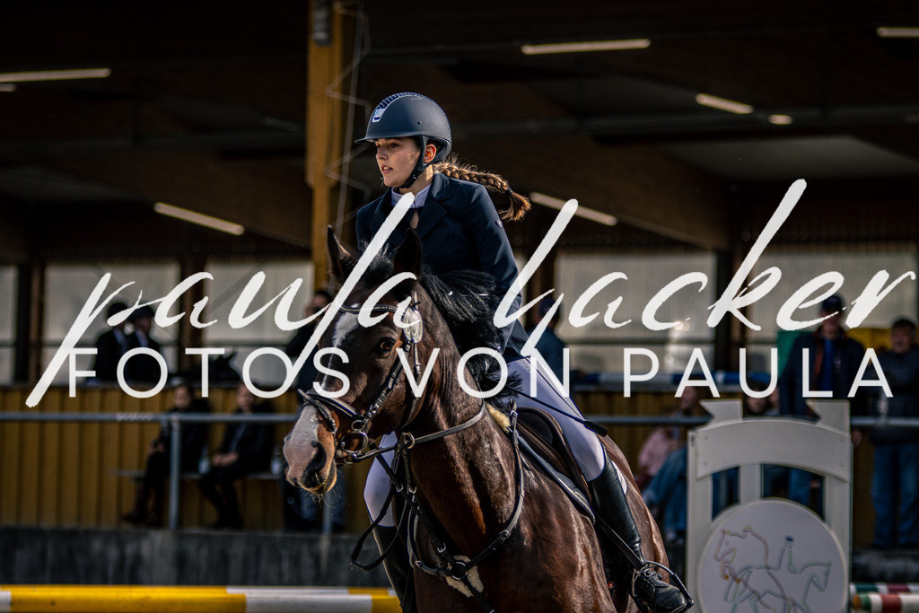 IMG_5837 | Erleben Sie dynamische Sport- und emotionale Tierfotografie in Süddeutschland mit Fotos von Paula. Spezialisiert auf Pferde- und Hundefotografie sowie Sportevents. Kontaktieren Sie mich für einzigartige und ausdrucksstarke Bilder Ihrer besonderen Momente. - Realisiert mit Pictrs.com