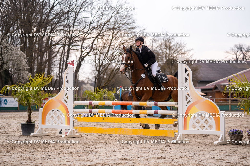 Kranichstein Tag 2-1273 | dv-media-shop - Realisiert mit Pictrs.com