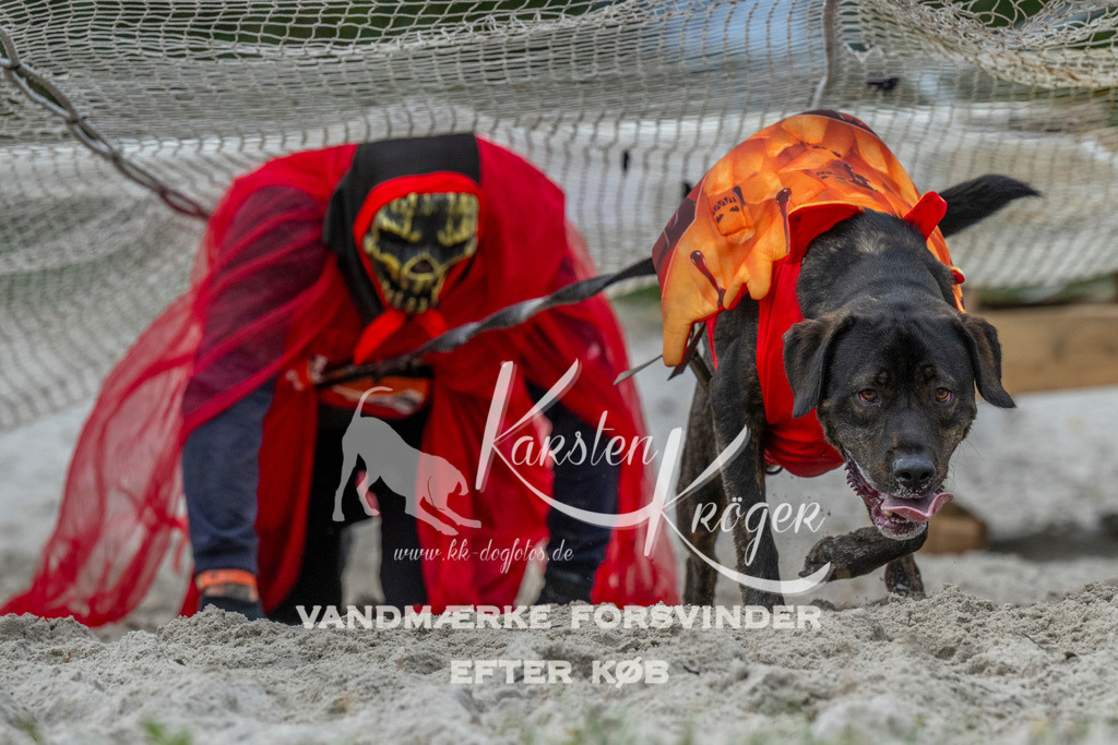 1023_ZZ93883 | kk-dogfotos