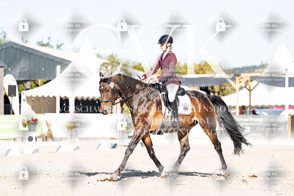 CK907533 | Turnierfotografie Pferdefotografie Trier Rheinland-Pfalz Pferdesport Reitsport Tierfotografie Sportfotografie Pferdevideo Pferdevideografie Equestrianvideography equestrianphotography  - Realisiert mit Pictrs.com