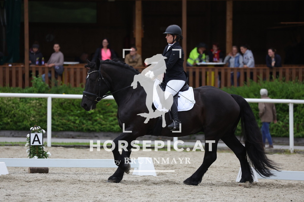 0P6A6903 | Willkommen bei Brunnmayr - Design & Fotografie – Ihrem Spezialisten für Reitturniere und Pferdeveranstaltungen in Oberösterreich, Salzburg und Bayern! Seit über 17 Jahren sind wir leidenschaftlich dabei.