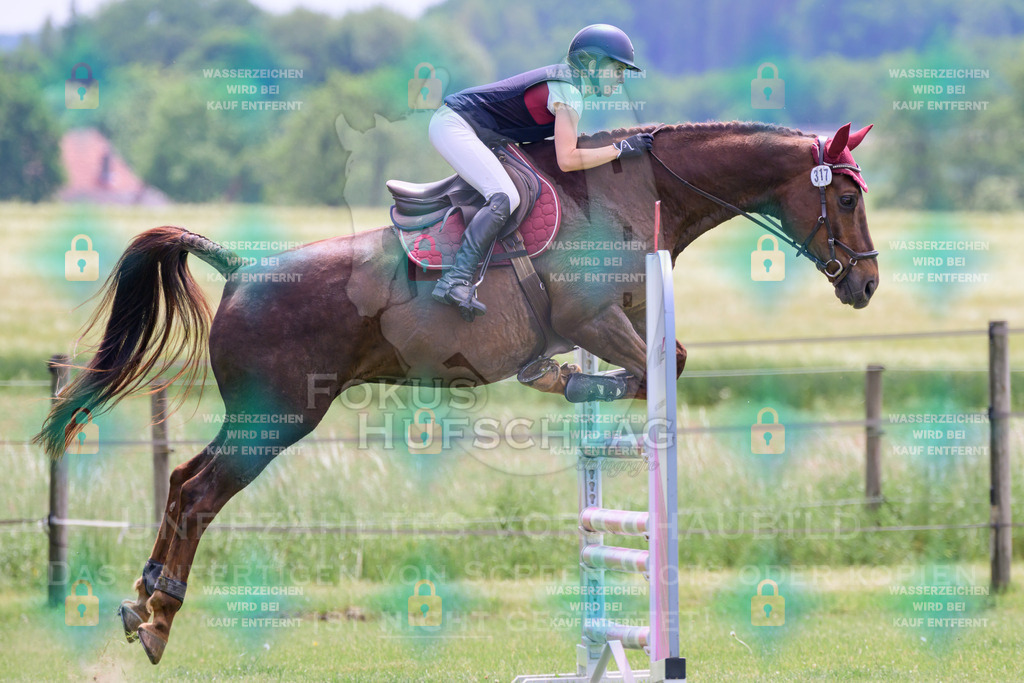 30052026-Forstinning-Prfg23-0076 | Fokus Hufschlag Fotografie - Realisiert mit Pictrs.com