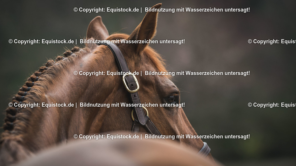 TS_20170501_Eingeflochtene_M__hne_0009 | Foto: Thomas Hartig