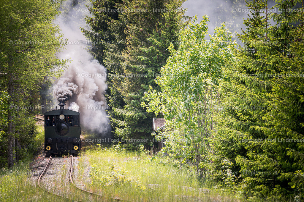 Erlaufsee Ausflugsschiff Fleissner-1440 | Fotos und Fotoprodukte - Realisiert mit Pictrs.com