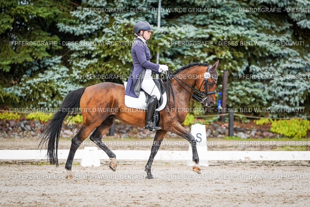 DSC00259 | Pferdegrafie