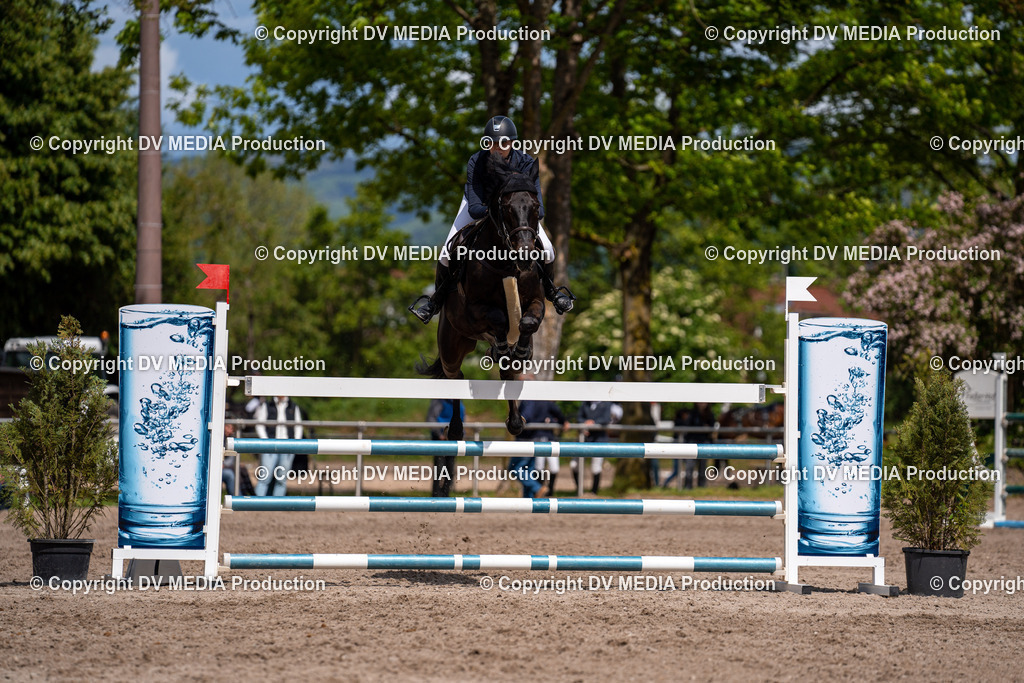 Eppelheim Tag 1-291 | dv-media-shop - Realisiert mit Pictrs.com