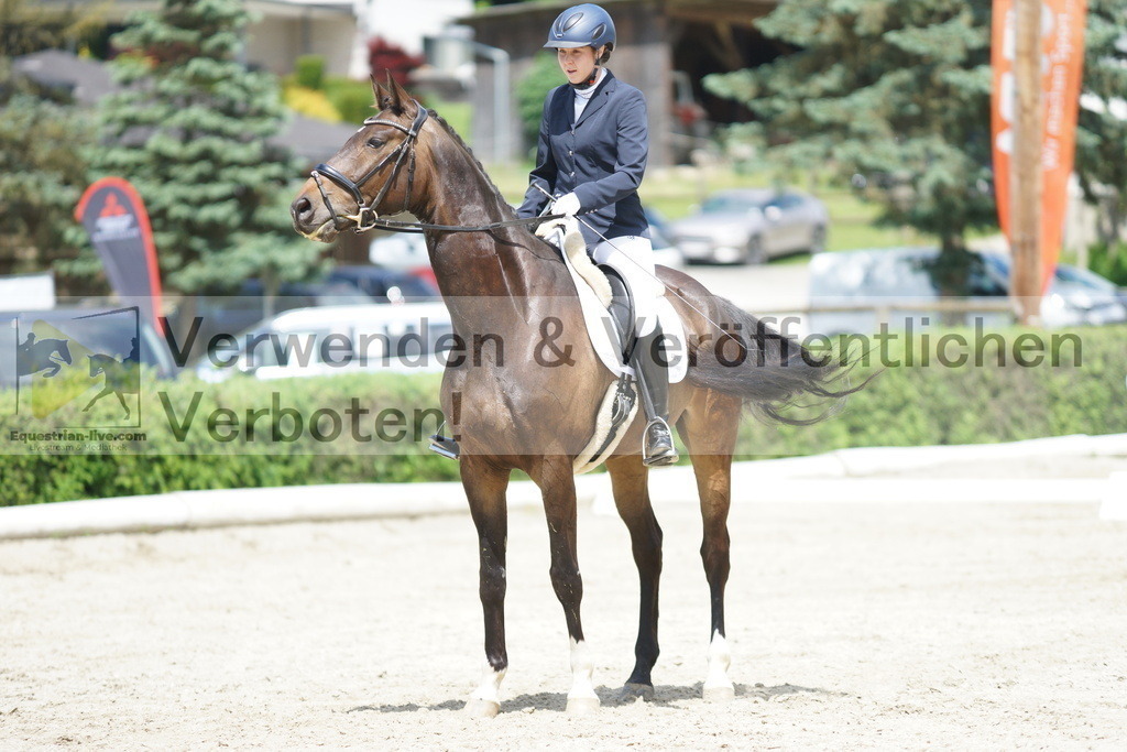 DSC05110 | equestrian-live-com