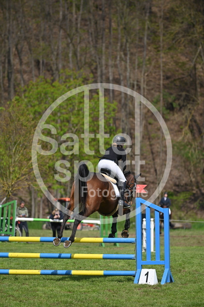 DSC_1214 | sattelsport - Realisiert mit Pictrs.com